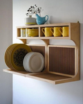 Dish organizer